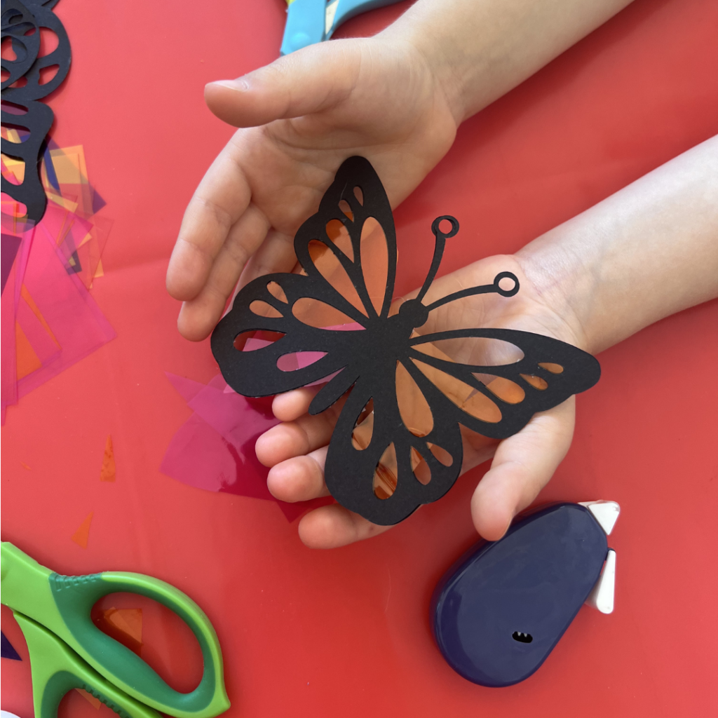 kid holding a butterfly